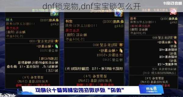 dnf锁宠物,dnf宝宝锁怎么开