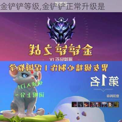 金铲铲等级,金铲铲正常升级是