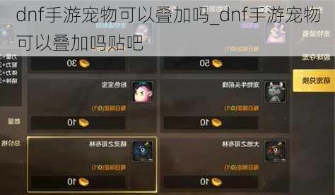 dnf手游宠物可以叠加吗_dnf手游宠物可以叠加吗贴吧