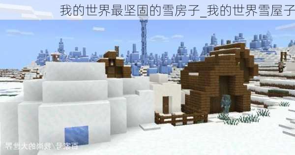 我的世界最坚固的雪房子_我的世界雪屋子