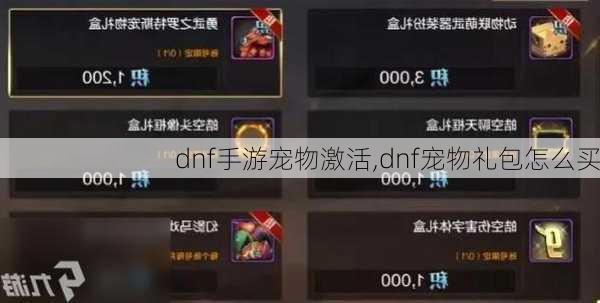 dnf手游宠物激活,dnf宠物礼包怎么买