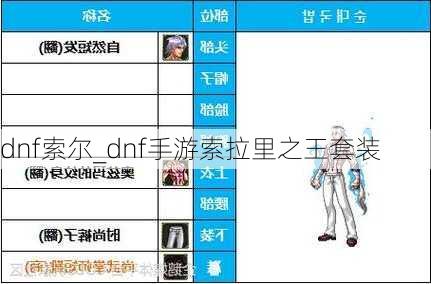 dnf索尔_dnf手游索拉里之王套装