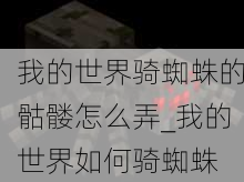 我的世界骑蜘蛛的骷髅怎么弄_我的世界如何骑蜘蛛