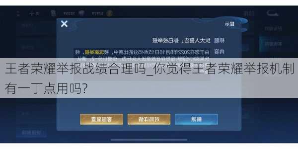 王者荣耀举报战绩合理吗_你觉得王者荣耀举报机制有一丁点用吗?