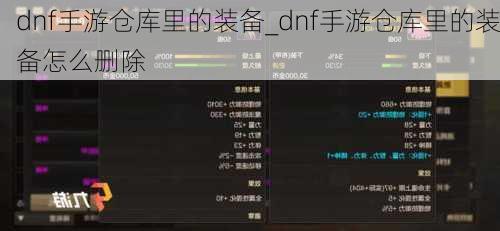 dnf手游仓库里的装备_dnf手游仓库里的装备怎么删除