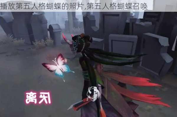 播放第五人格蝴蝶的照片,第五人格蝴蝶召唤