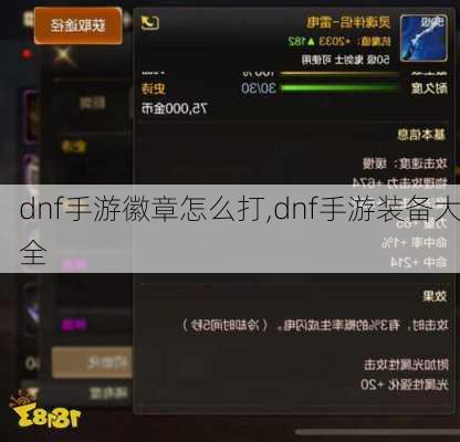 dnf手游徽章怎么打,dnf手游装备大全