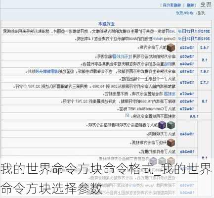 我的世界命令方块命令格式_我的世界命令方块选择参数