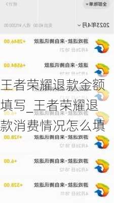 王者荣耀退款金额填写_王者荣耀退款消费情况怎么填