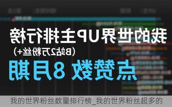 我的世界粉丝数量排行榜_我的世界粉丝超多的