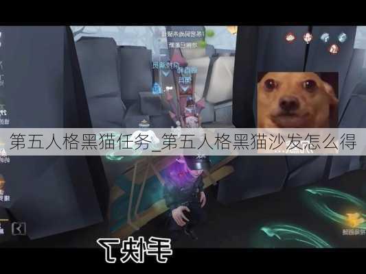 第五人格黑猫任务_第五人格黑猫沙发怎么得