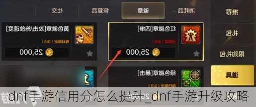 dnf手游信用分怎么提升_dnf手游升级攻略