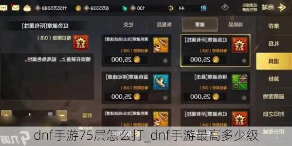 dnf手游75层怎么打_dnf手游最高多少级