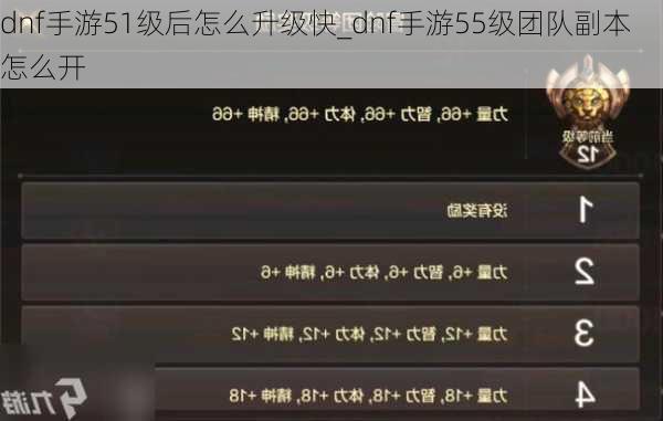 dnf手游51级后怎么升级快_dnf手游55级团队副本怎么开