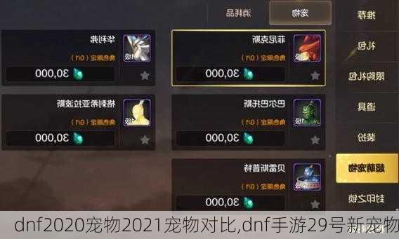 dnf2020宠物2021宠物对比,dnf手游29号新宠物