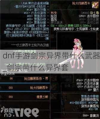 dnf手游剑宗异界带什么武器_剑宗带什么异界套