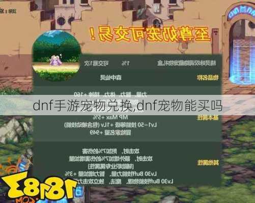 dnf手游宠物兑换,dnf宠物能买吗