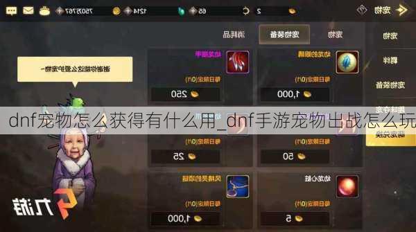 dnf宠物怎么获得有什么用_dnf手游宠物出战怎么玩