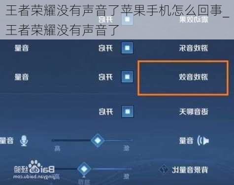 王者荣耀没有声音了苹果手机怎么回事_王者荣耀没有声音了