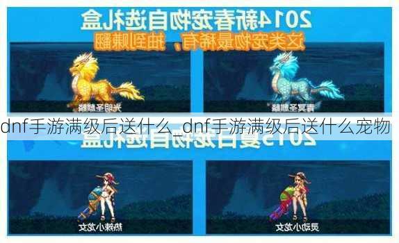 dnf手游满级后送什么_dnf手游满级后送什么宠物