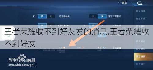 王者荣耀收不到好友发的消息,王者荣耀收不到好友