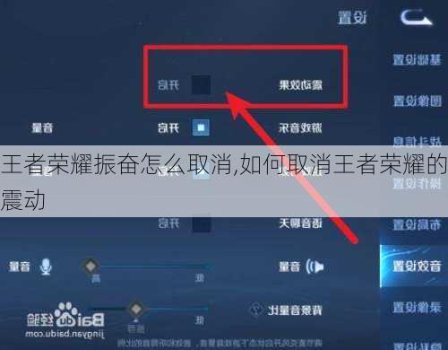 王者荣耀振奋怎么取消,如何取消王者荣耀的震动