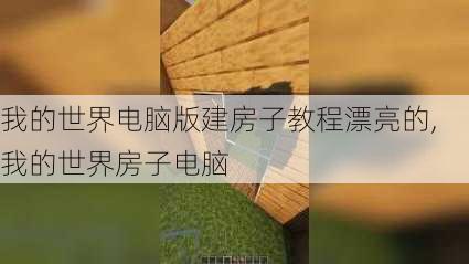 我的世界电脑版建房子教程漂亮的,我的世界房子电脑