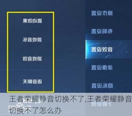 王者荣耀静音切换不了,王者荣耀静音切换不了怎么办