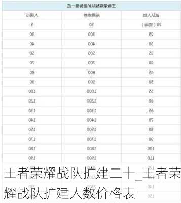 王者荣耀战队扩建二十_王者荣耀战队扩建人数价格表