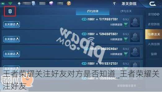 王者荣耀关注好友对方是否知道_王者荣耀关注好友