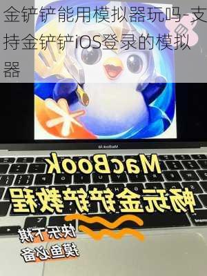 金铲铲能用模拟器玩吗-支持金铲铲iOS登录的模拟器