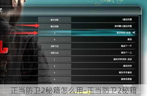 正当防卫2秘籍怎么用-正当防卫2秘籍