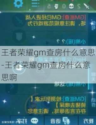 王者荣耀gm查房什么意思-王者荣耀gm查房什么意思啊