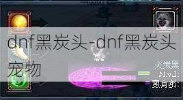 dnf黑炭头-dnf黑炭头宠物