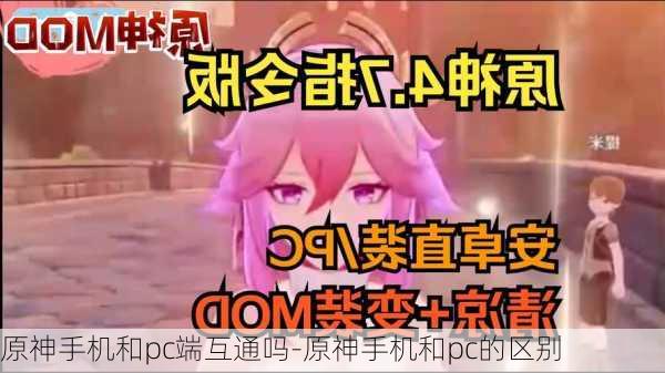 原神手机和pc端互通吗-原神手机和pc的区别