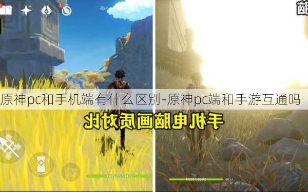 原神pc和手机端有什么区别-原神pc端和手游互通吗