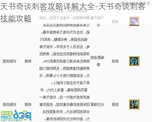 天书奇谈刺客攻略详解大全-天书奇谈刺客技能攻略