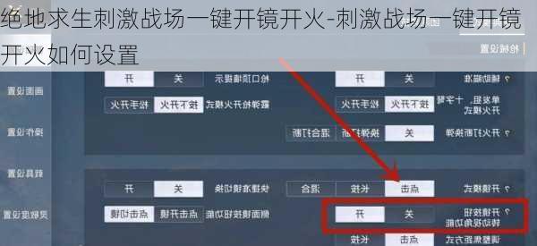 绝地求生刺激战场一键开镜开火-刺激战场一键开镜开火如何设置