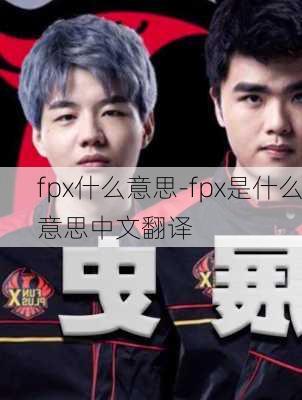 fpx什么意思-fpx是什么意思中文翻译