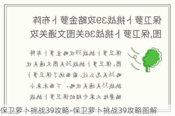 保卫萝卜挑战39攻略-保卫萝卜挑战39攻略图解