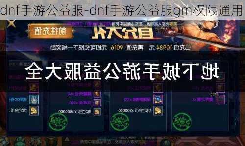 dnf手游公益服-dnf手游公益服gm权限通用