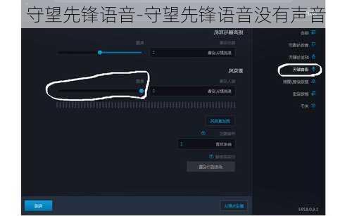 守望先锋语音-守望先锋语音没有声音